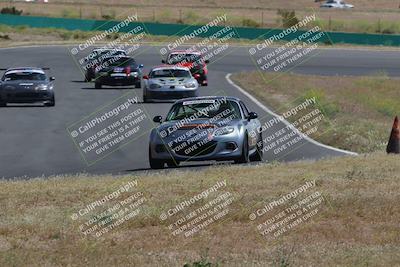 media/May-04-2024-Lucky Dog Racing (Sat) [[d39539b3f3]]/Race Pics/1015am (Turn 2)/